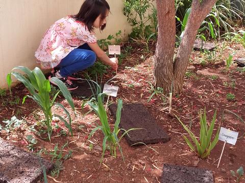 Identificação das plantas da horta em material reciclado